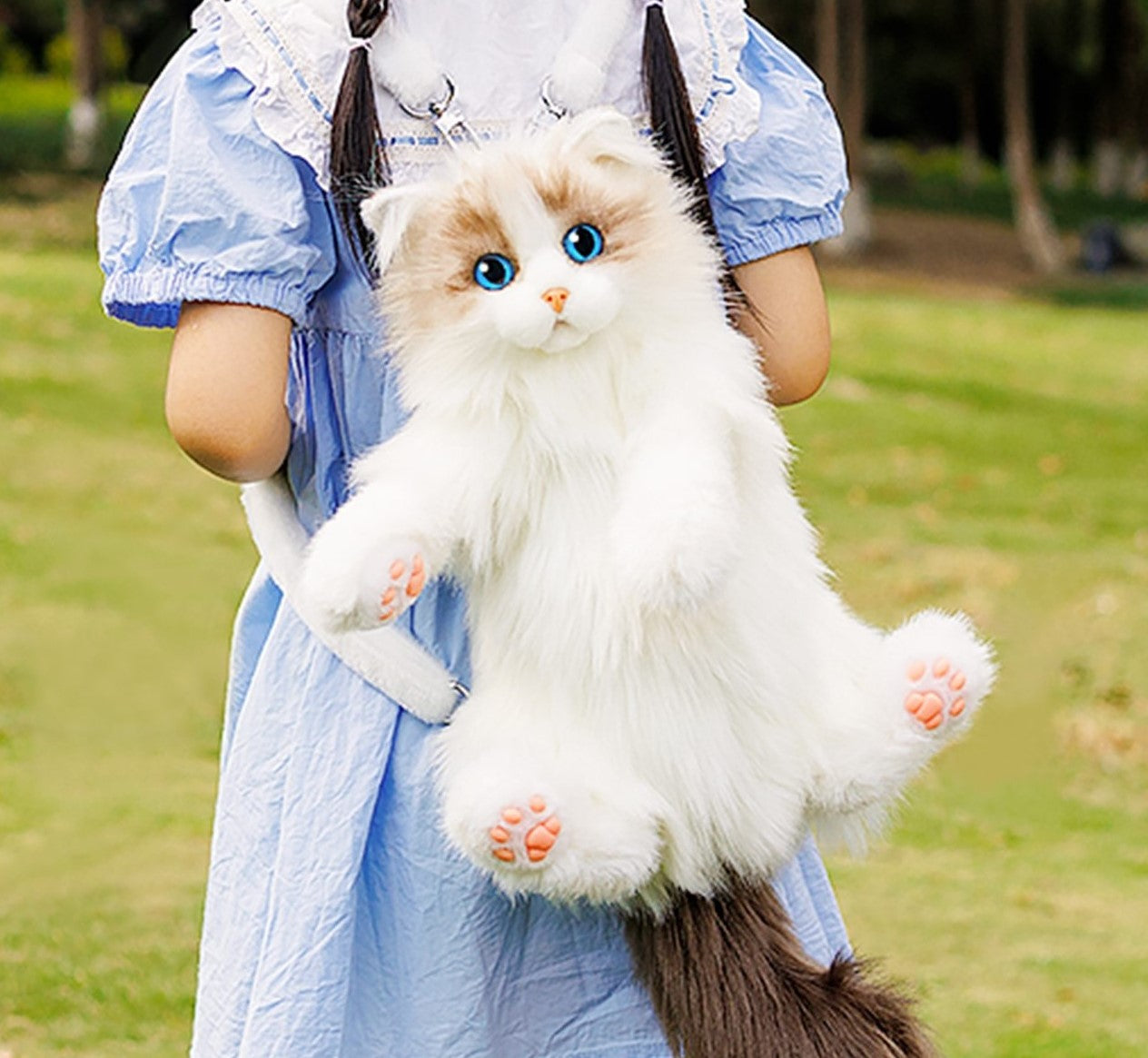 Girl Ragdoll Female Ragdoll Big House Cat Ragdoll Girl Holding Her
