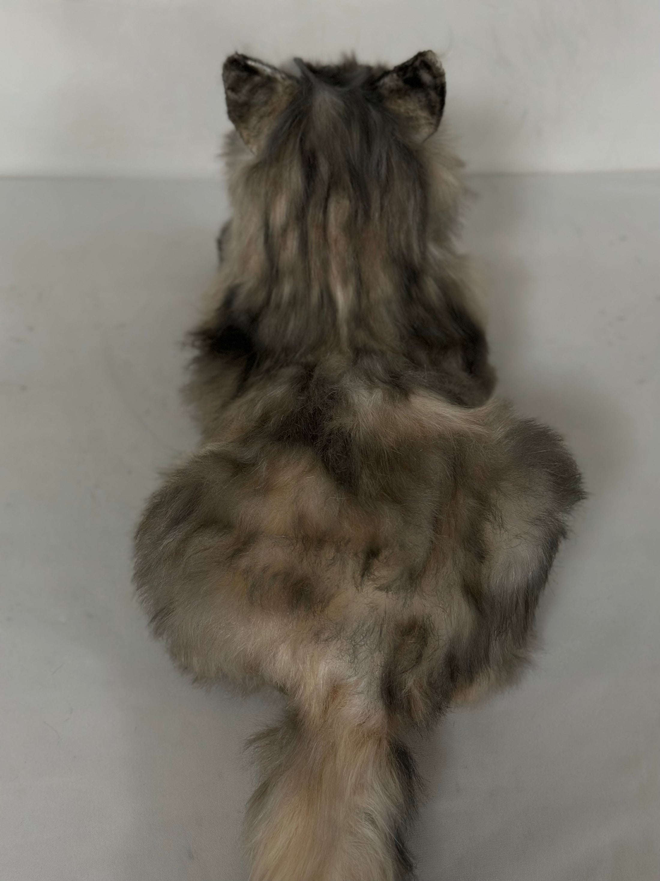 Plush American Tabby Cat Longhair Order to Make