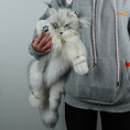 Load image into Gallery viewer, Silver Maine Coon Backpack-Majestic and Purrfect Companion
