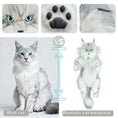 Load image into Gallery viewer, Silver Maine Coon Backpack-Majestic and Purrfect Companion