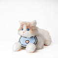Załaduj obraz do przeglądarki galerii, Blue Bibs Collar fits all - Chongker