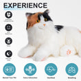 Load image into Gallery viewer, Breathing Calico Percy 2.0- Heartbeat Pur,Voice Robonic Cat