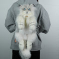 Load image into Gallery viewer, Silver Maine Coon Backpack-Majestic and Purrfect Companion