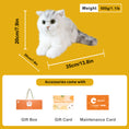 Load image into Gallery viewer, British Shorthair Cat – Realistic Plush for Women