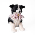 Carica l'immagine nel visualizzatore della galleria, Pink JK Collar fits all - Chongker