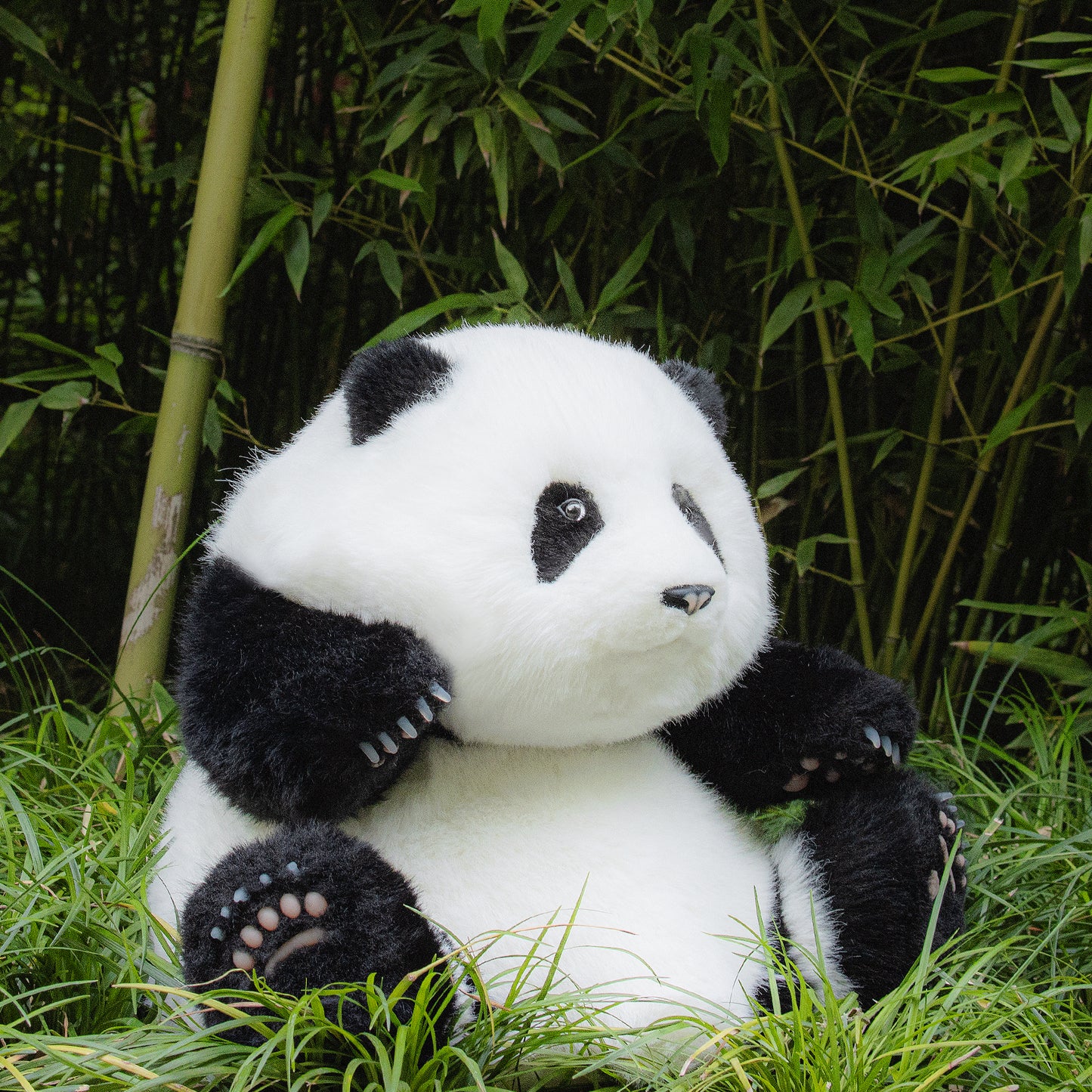 Chongker Handmade Stuffed Giant Panda Sitting (Hehua 5months old) - Chongker