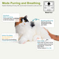 Load image into Gallery viewer, Breathing Calico Percy 2.0- Heartbeat Pur,Voice Robonic Cat