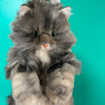 Lataa kuva Galleria-näkymään, Custom Backpack (Long Hair Cat Only)