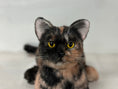 Gallery viewerに画像を読み込む, Plush Tortoiseshell Cat Shorthair Order to Make