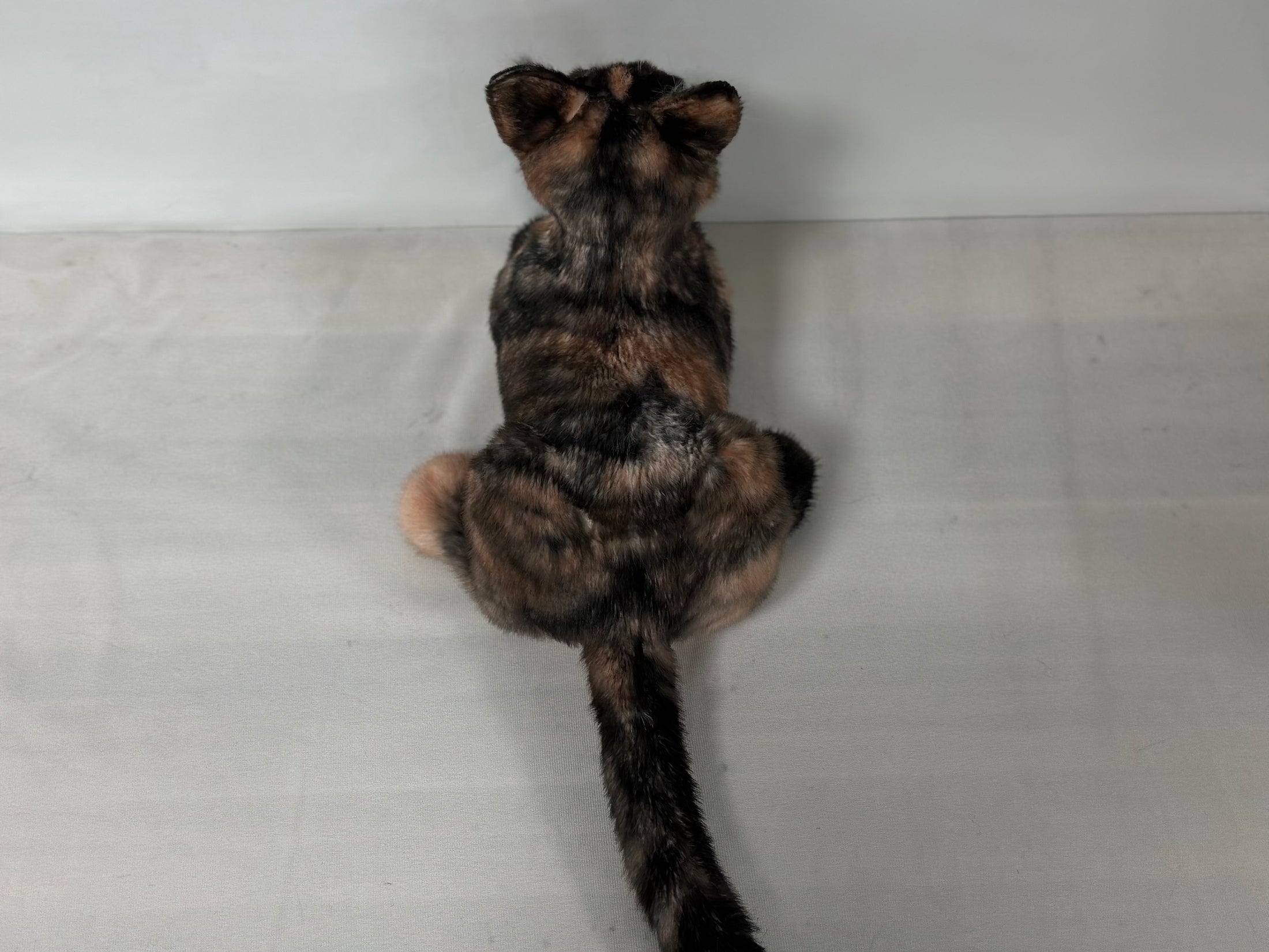 Plush Tortoiseshell Cat Shorthair Order to Make