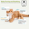 Load image into Gallery viewer, Percy 2.0 Golden British Short Hair Cat- Heartbeat Pur,Voice Robonic Cat
