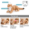 Load image into Gallery viewer, Percy 2.0 Golden British Short Hair Cat- Heartbeat Pur,Voice Robonic Cat