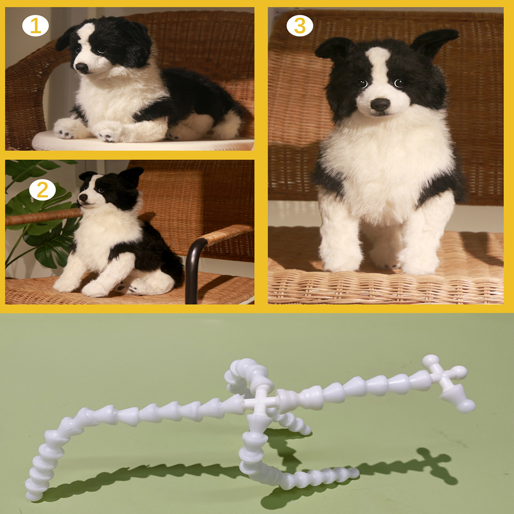 Posture(Cat)