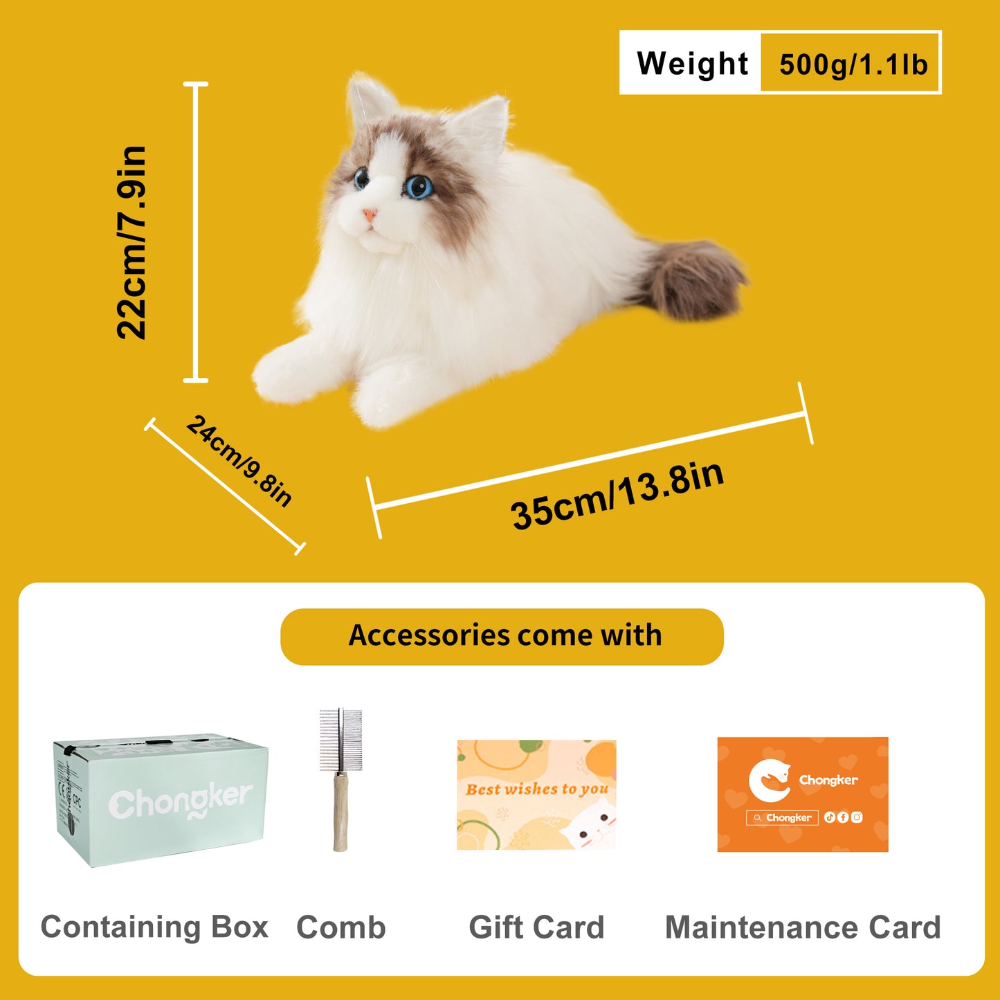Ragdoll Cat