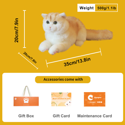 Golden Brtitish Short Hair Cat Plush – Weighted Emotional Support Toy Gift