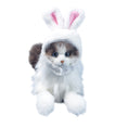 Carica l'immagine nel visualizzatore della galleria, Easter Bunny Hat  for Cat Dog & Pet