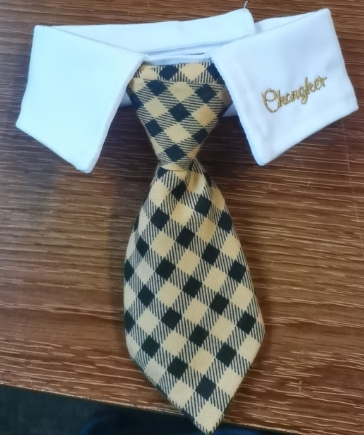 checked tie for Cat Dog & Pet