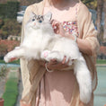 Load image into Gallery viewer, Tracy Chongker Handmade 3LB Weighted Plush Cat for hug - Chongker