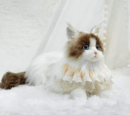 Just a Cat's Accessories, Not Cat‘s Price. - Chongker