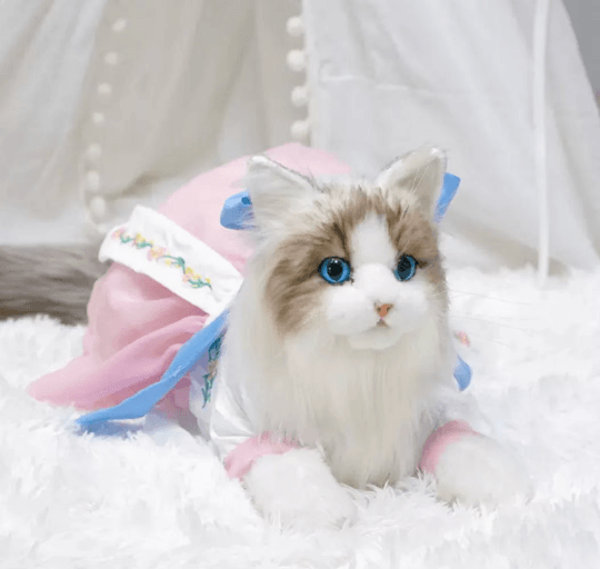 Just a Cat's Accessories, Not Cat‘s Price. - Chongker