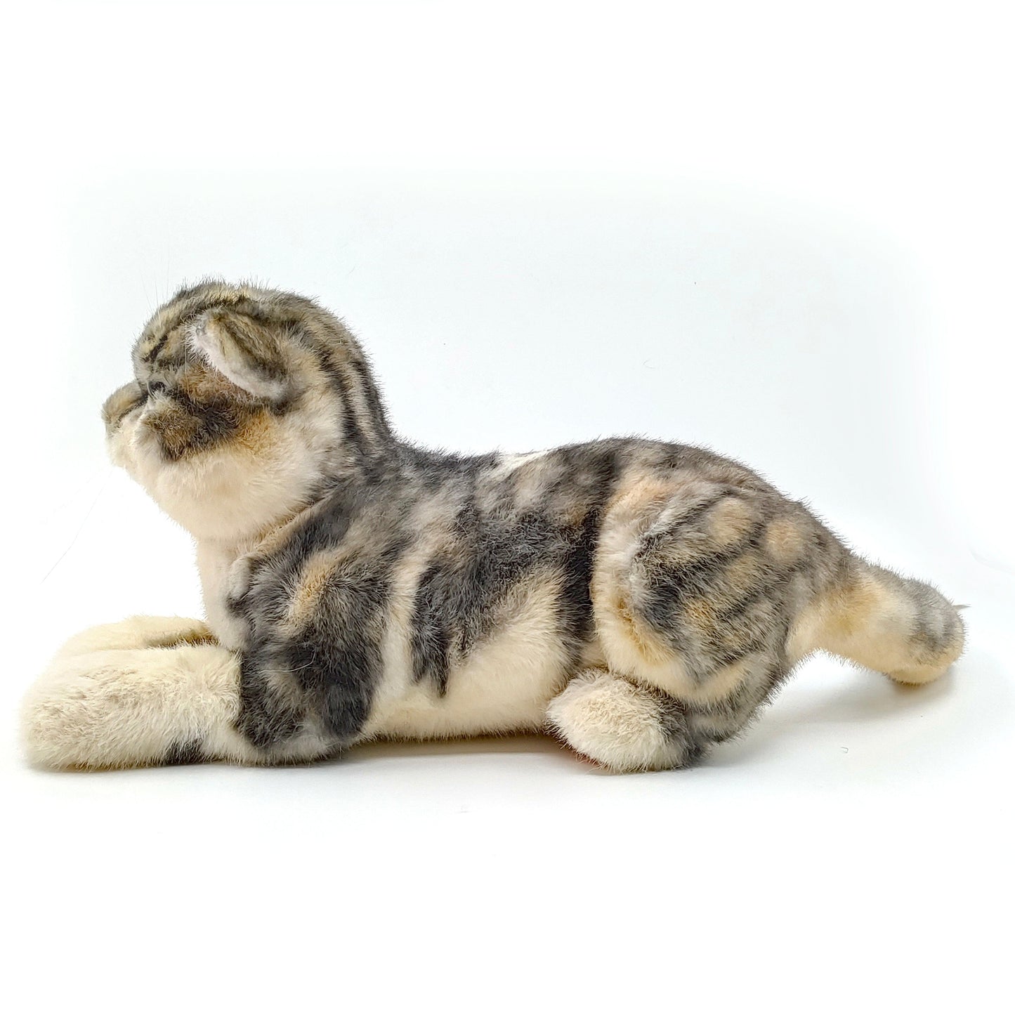 NO.13 Tappy Cat - Chongker