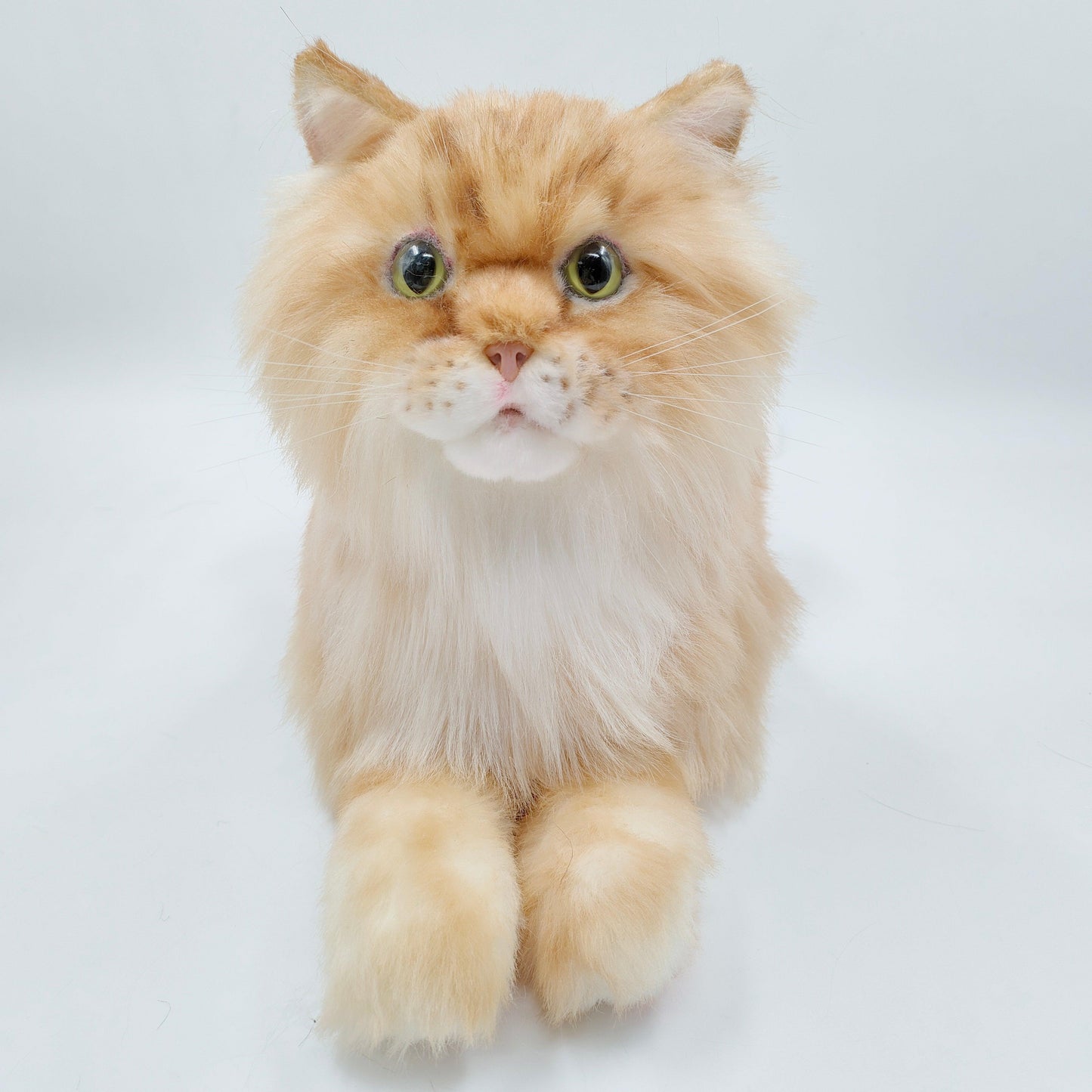 NO.17 Orange Cat - Chongker