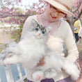 Load image into Gallery viewer, Tracy Chongker Handmade 3LB Weighted Plush Cat for hug - Chongker