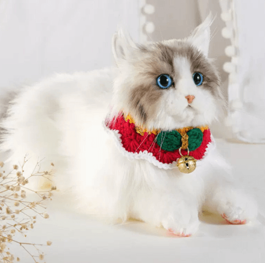 Just a Cat's Accessories, Not Cat‘s Price. - Chongker