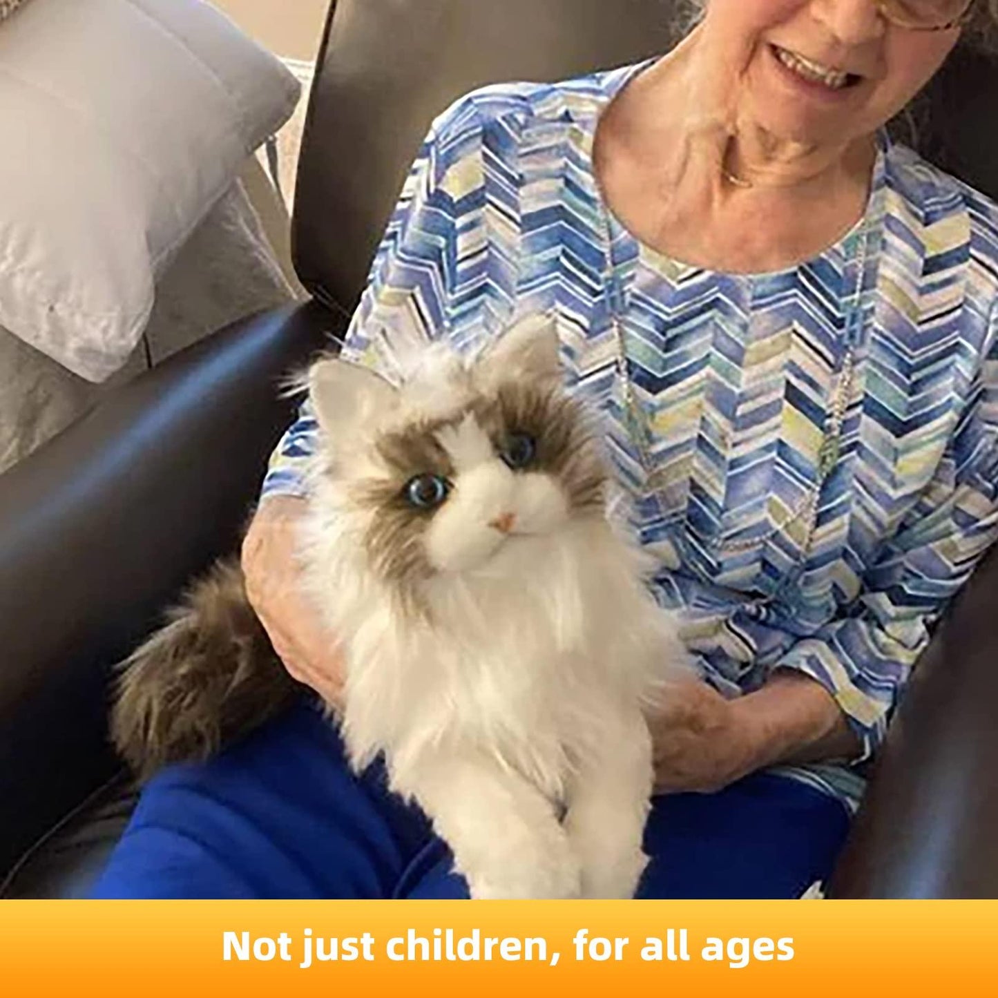 Weigted Ragdoll Cat(4.5LB)