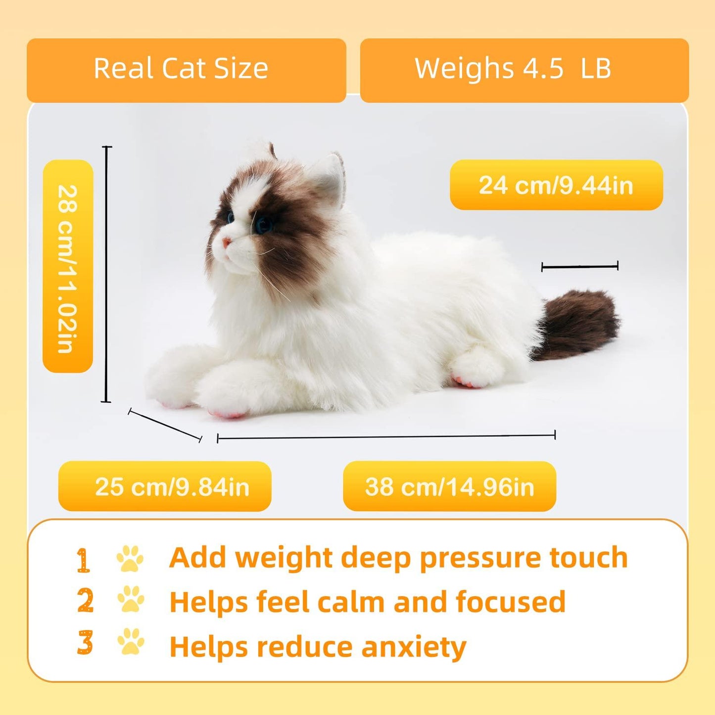 Weigted Ragdoll Cat(4.5LB)