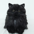 Załaduj obraz do przeglądarki galerii, NO.30 Black Cat - Chongker
