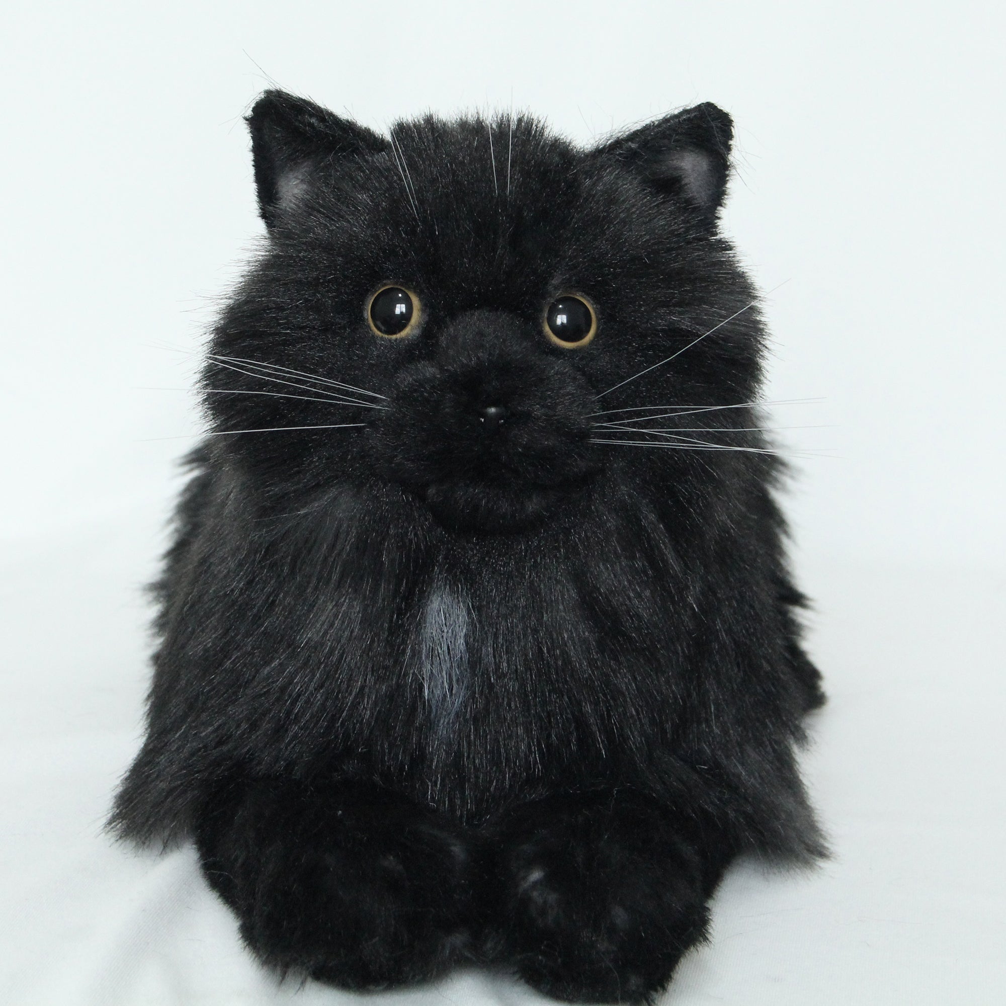 NO.30 Black Cat - Chongker