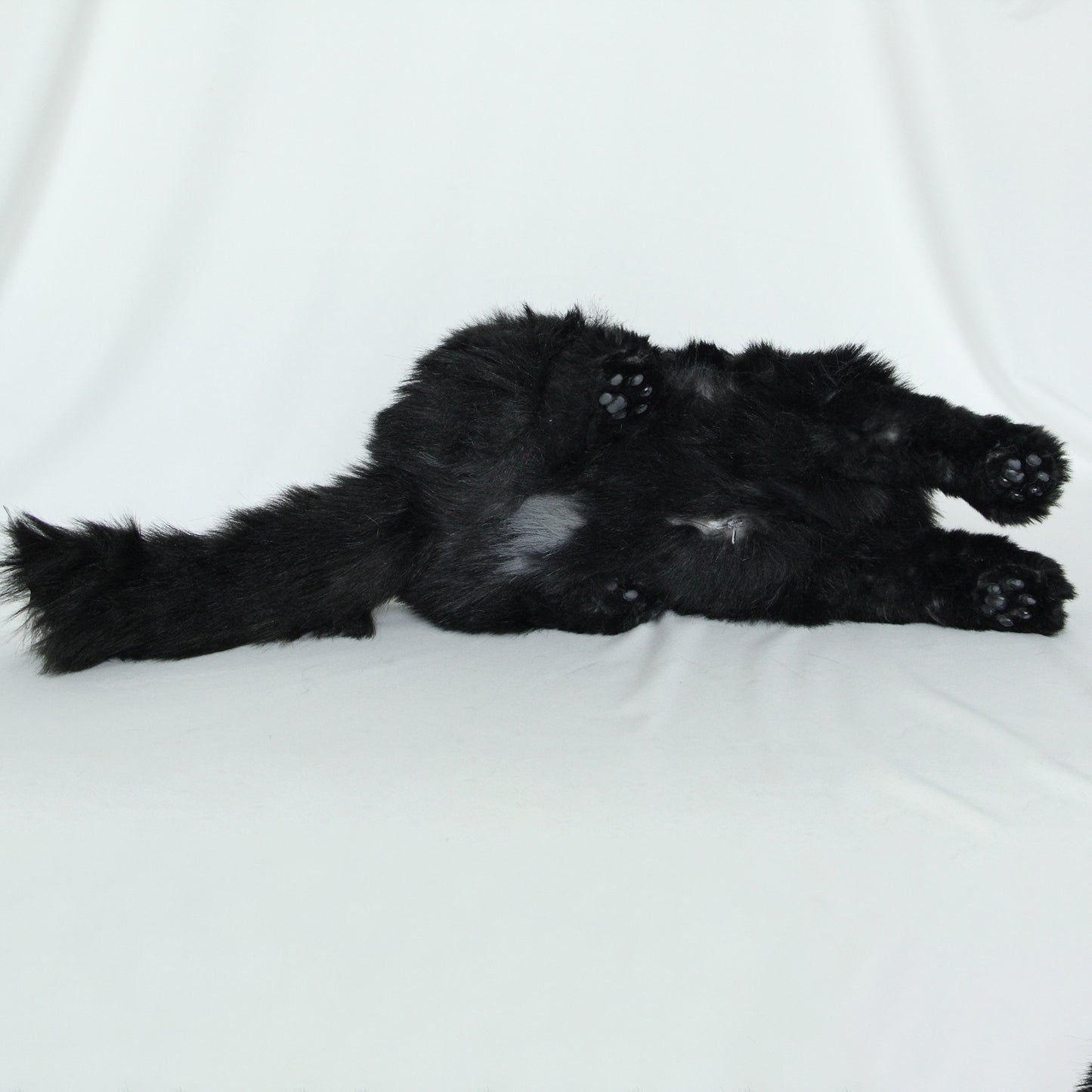 NO.30 Black Cat - Chongker