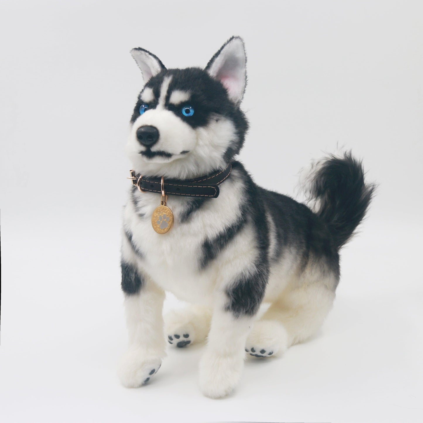 Siberian Husky - Chongker