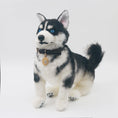 Load image into Gallery viewer, Siberian Husky - Chongker