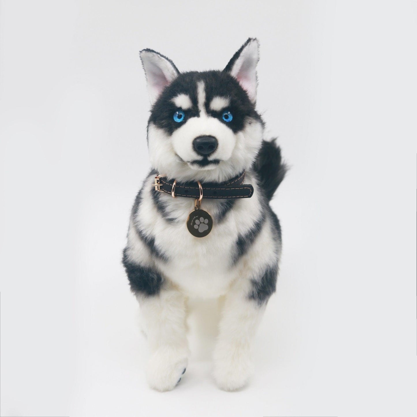 Siberian Husky - Chongker