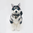 Load image into Gallery viewer, Siberian Husky - Chongker