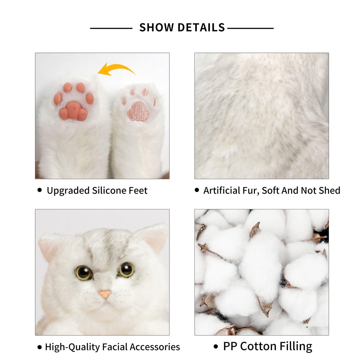 British Short-Hair Cat - Chongker