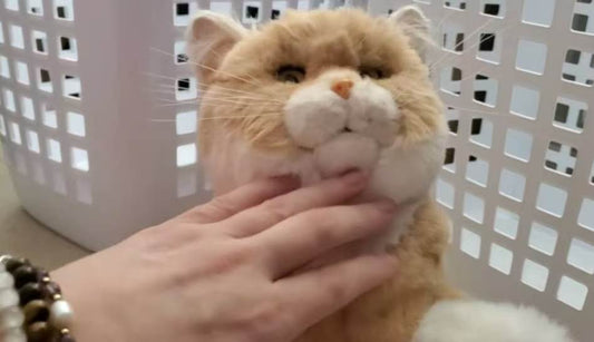 From Social Fatigue to Human Connection: How Robotic Companion Pets Can Help Us Recharge, Reframe, and Reach Out