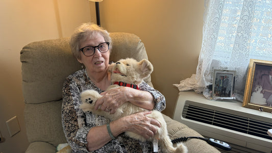 Something to Hold: How Therapeutic Robot Animals Can Help Us Grieve
