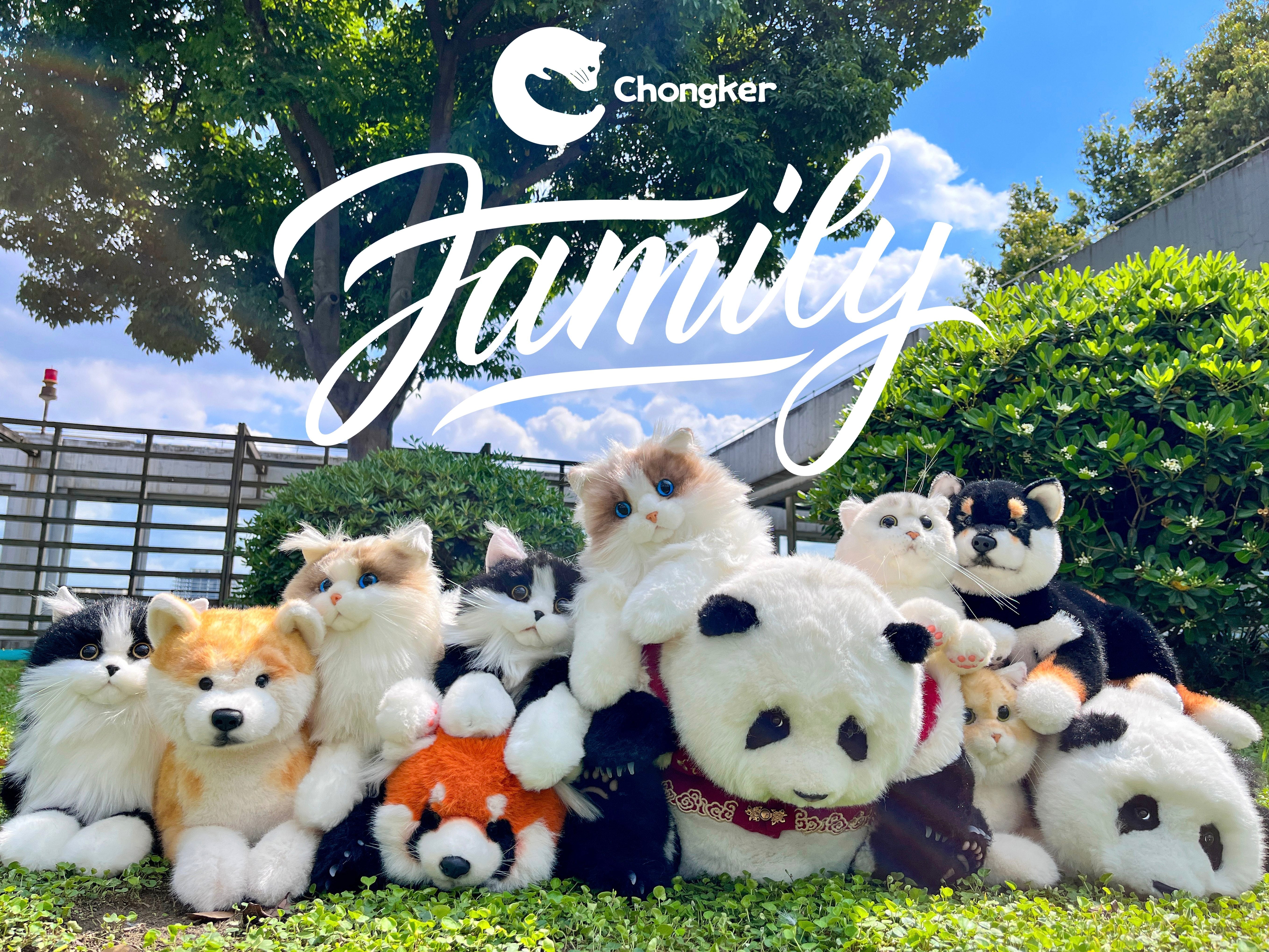 コレクション – Chongker