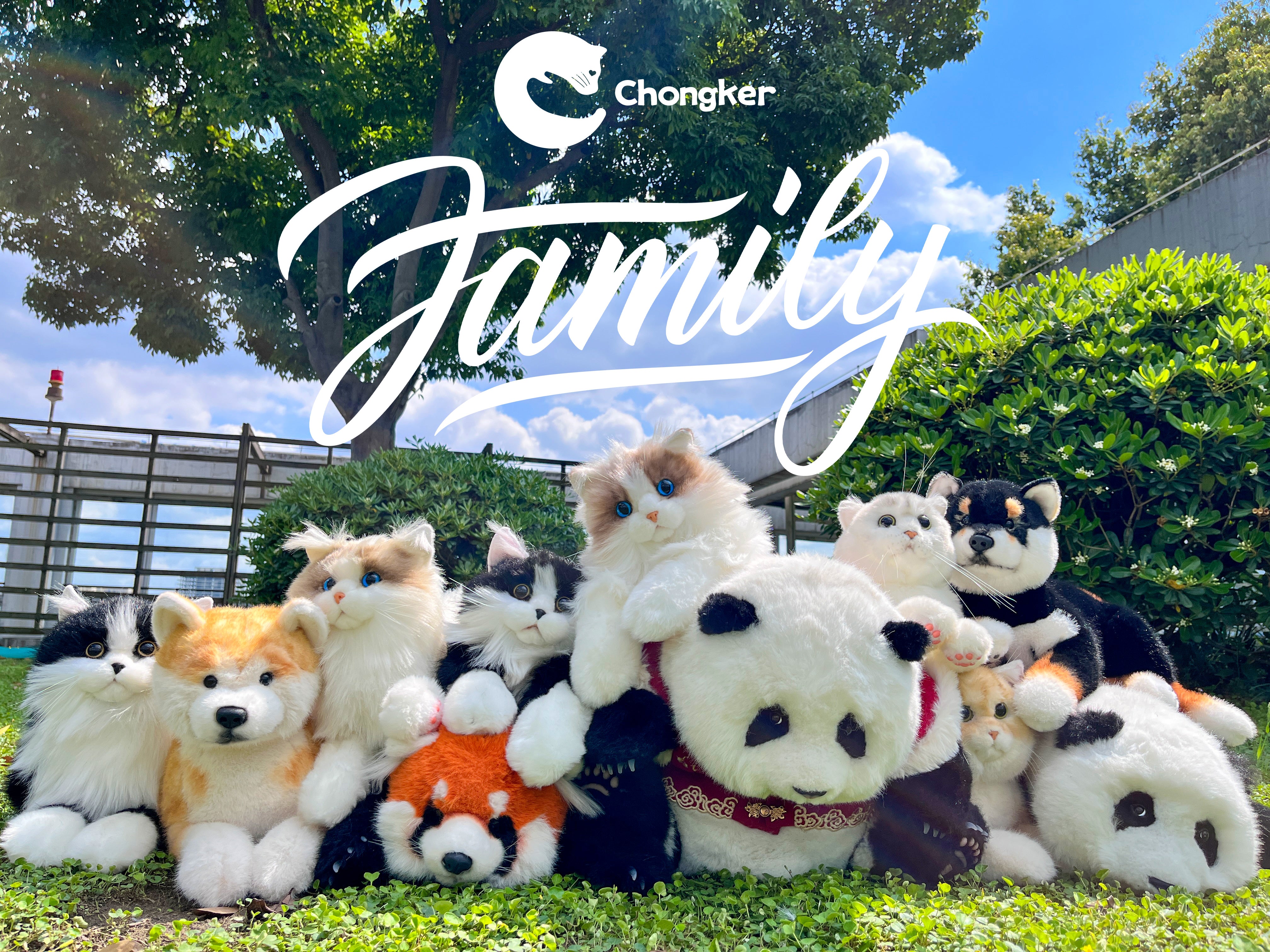 コレクション – Chongker