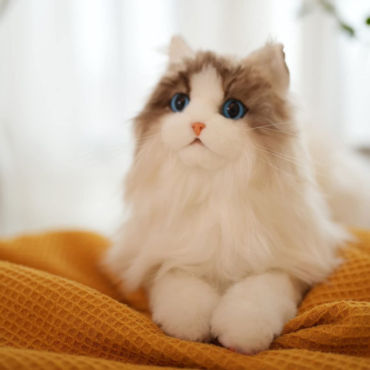Stuffed Cats