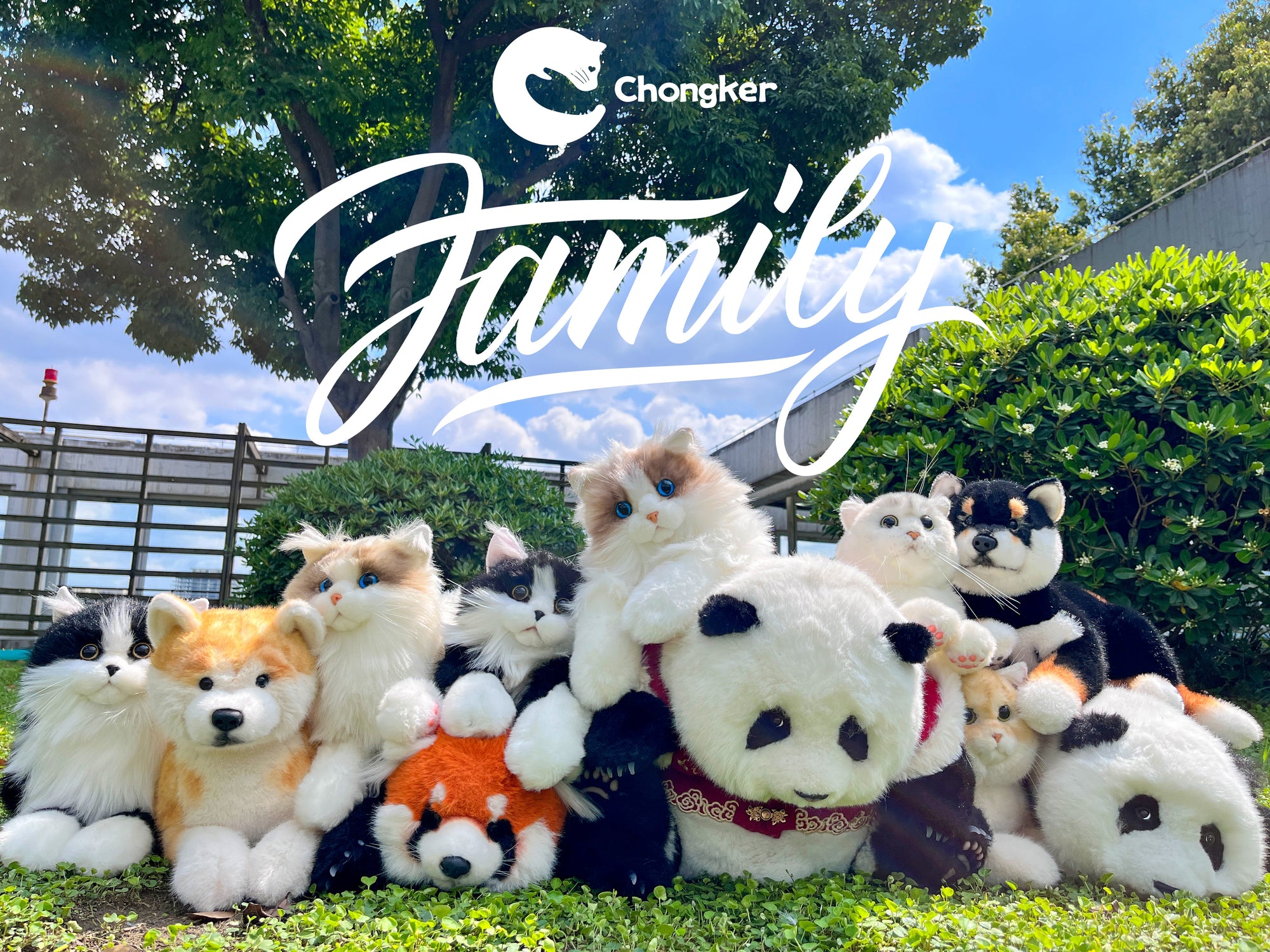 Anastasiya 15% OFF code: anastasiya15