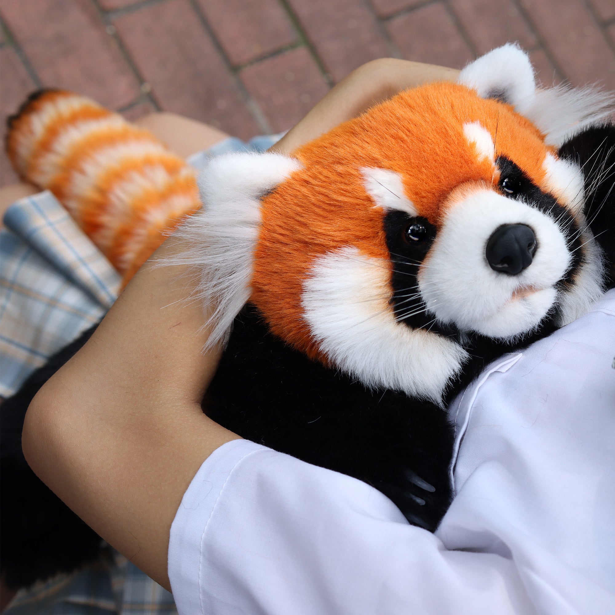 Chongker Red Panda Weighted Stuffed Animal Plush 2.5lb - Chongker