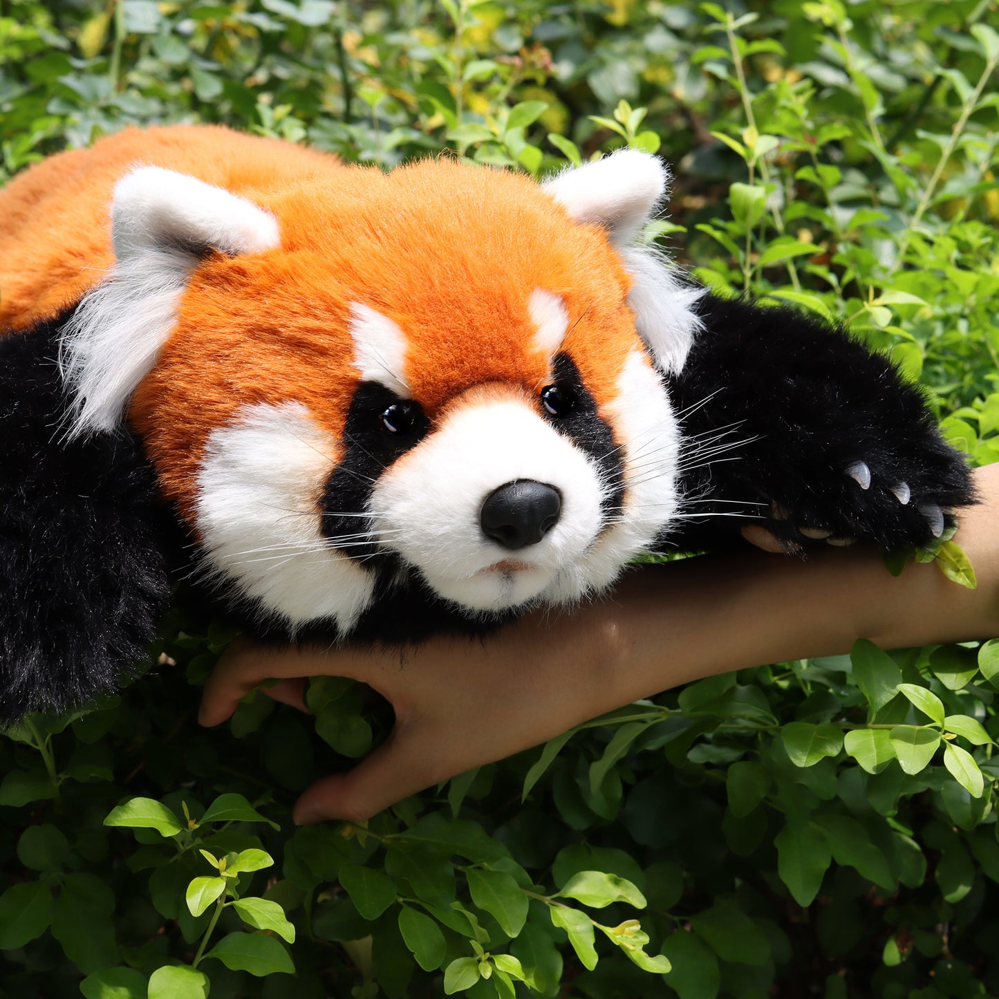 Chongker Red Panda Weighted Stuffed Animal Plush 2.5lb