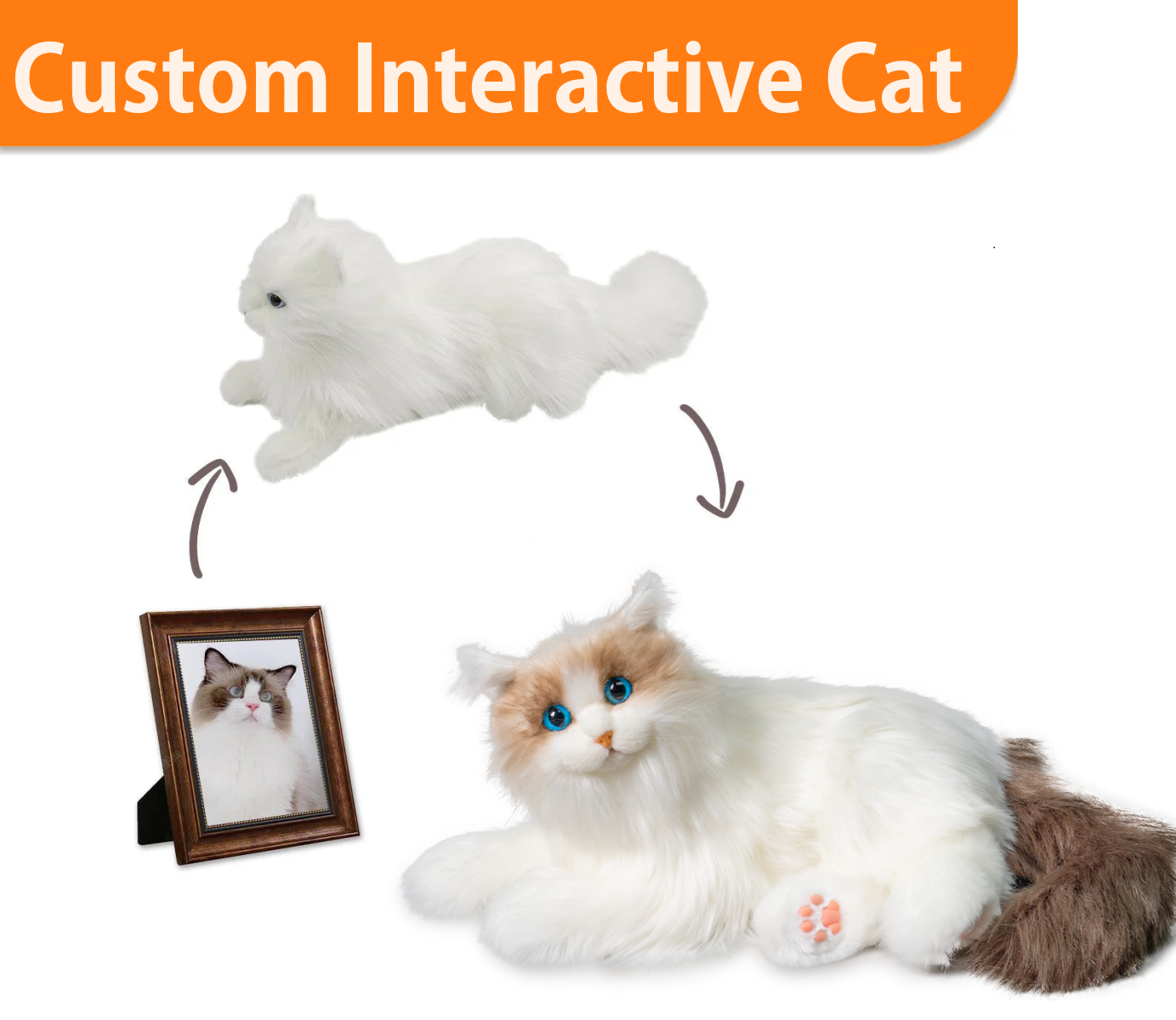 Custom Interactive Cat Long Hair Only