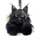 Sac à dos Maine Coon – Sac à dos réaliste pour chats, style en journée