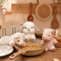 Handmade Realistic Rabbit, Teacup Pig & Ferret Companion