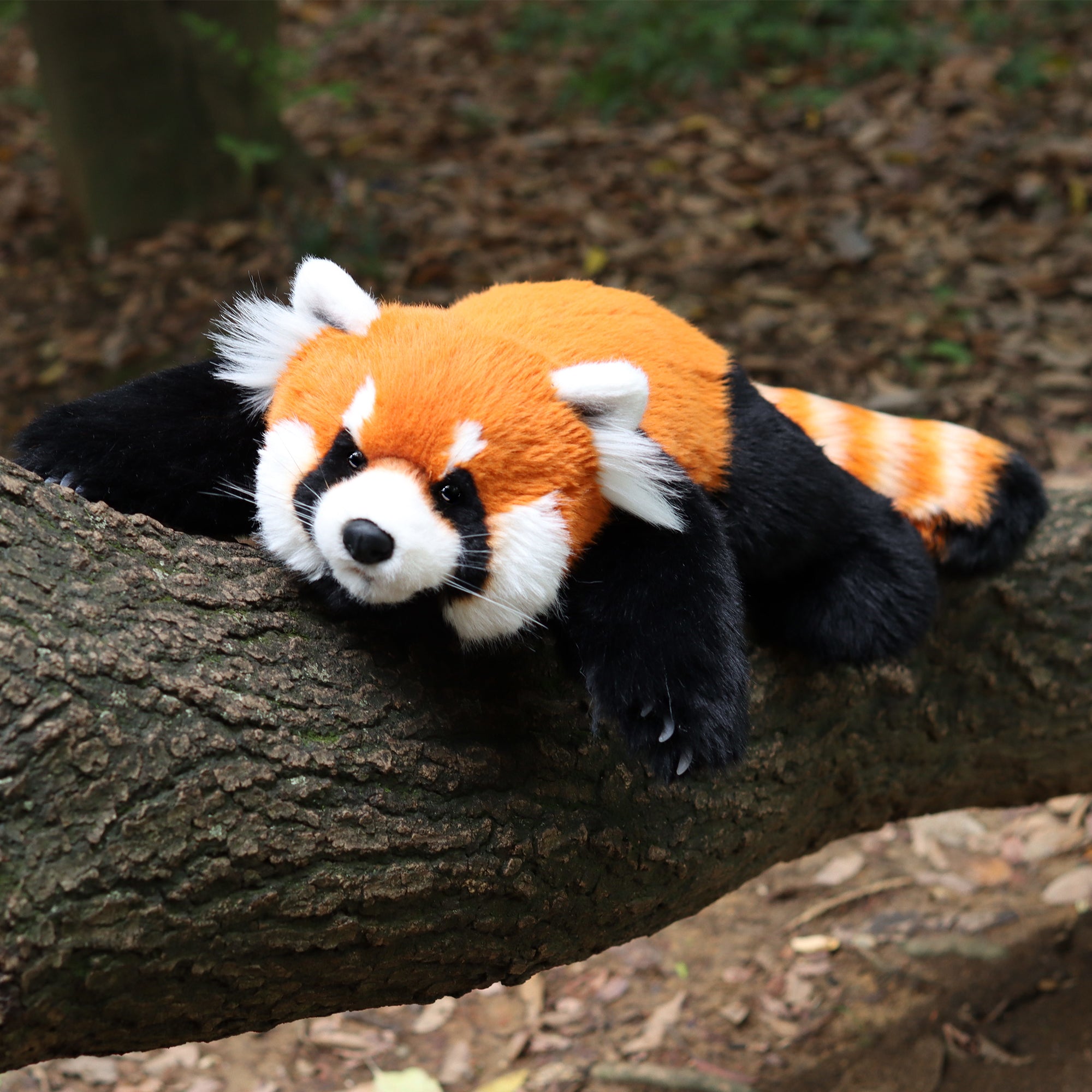 Chongker Red Panda Weighted Stuffed Animal Plush 2.5lb - Chongker